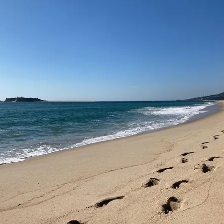 First-line Oceanfront House In موليدو